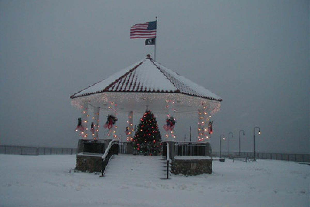 Holiday tree at the Bandstand by Anthony Phillips